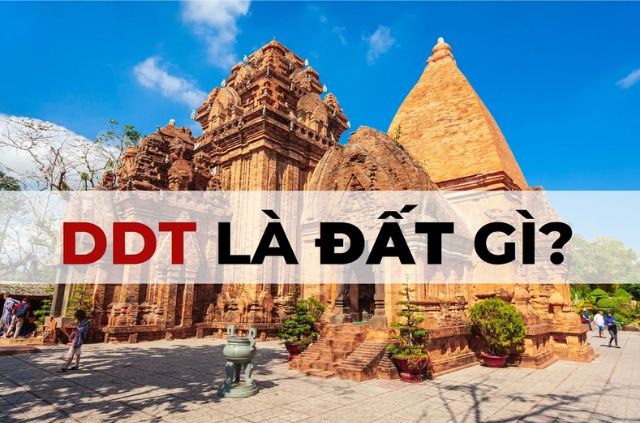 DDT Là Gì? Giải Mã Thuật Ngữ DDT Trong Bất Động Sản