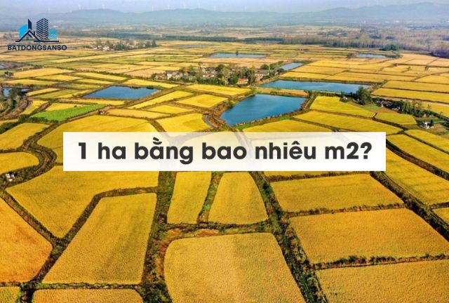 1 hecta la bao nhieu met vuong