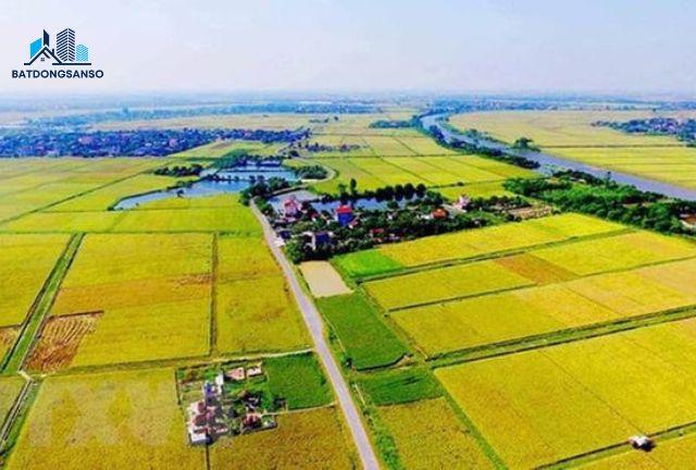 Có Nên Mua Đất Phi Nông Nghiệp? Phân Tích Chi Tiết Từ A-Z