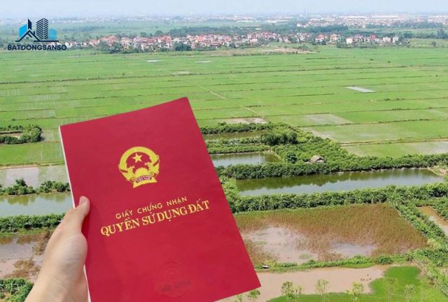Các loại đất phổ biến thường bị nhầm lẫn với "Đất 03"