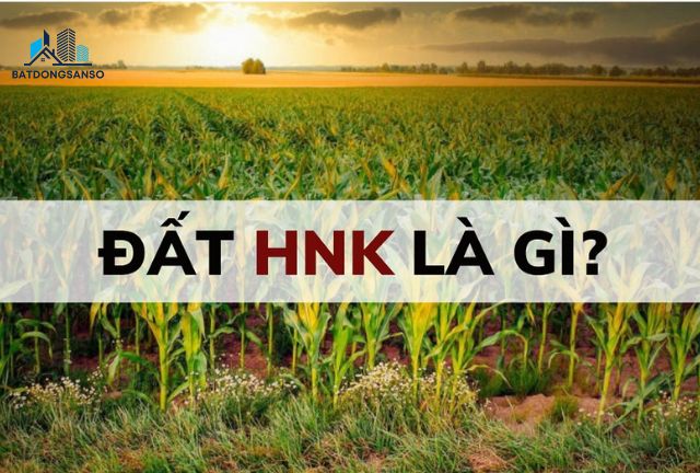 Đất HNK Là Gì? Cập Nhật Thông Tin Mới Nhất 2025