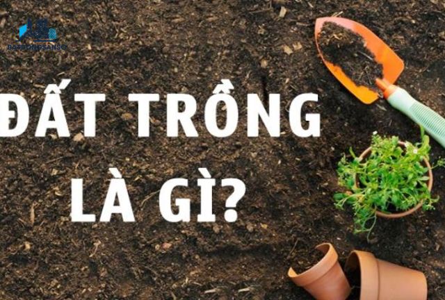 đất trồng là gì