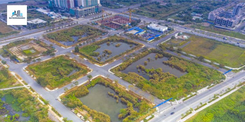 Đấu Giá Đất Ninh Bình: Cơ Hội Đầu Tư Vàng 2024