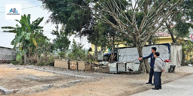 Mua Đất Đầu Năm: Kinh Nghiệm Vàng Cho Nhà Đầu Tư Thông Thái