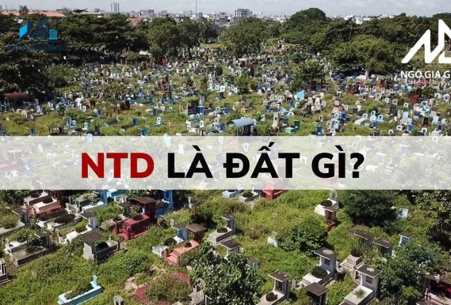 Phân Loại NTD Trong Thị Trường Bất Động Sản