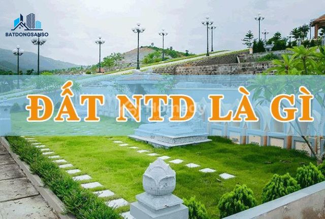 NTD Là Gì? Giải Mã Thuật Ngữ Bất Động Sản Dành Cho Người Mới