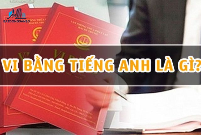 Vi Bằng Tiếng Anh Là Gì? Giải Đáp Chi Tiết Từ Chuyên Gia Bất Động Sản